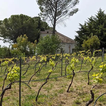Casale Mon Rahal San Giuseppe Jato