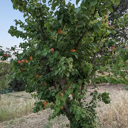 Hytte Casale Mon Rahal