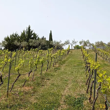 Hytte Casale Mon Rahal *