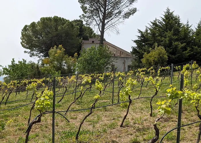 Casale Mon Rahal San Giuseppe Jato
