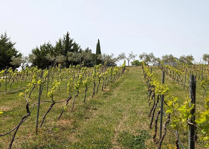 אכסניה Casale Mon Rahal *